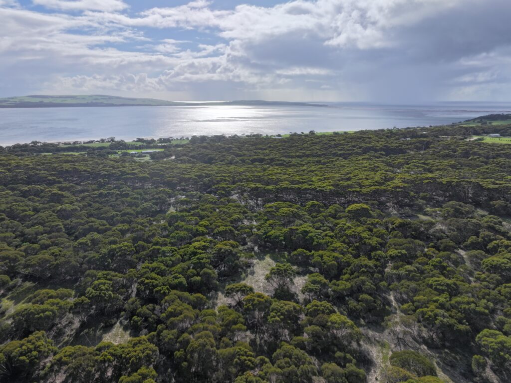 Lot 18/Glen Barrett Drive, KINGSCOTE, SA 5223