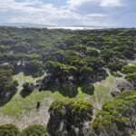 Lot 18/Glen Barrett Drive, KINGSCOTE, SA 5223