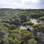 Lot 18/Glen Barrett Drive, KINGSCOTE, SA 5223