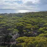 Lot 18/Glen Barrett Drive, KINGSCOTE, SA 5223